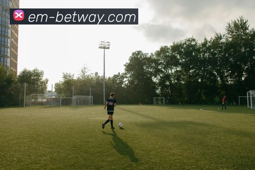 必威电竞官网服务体系